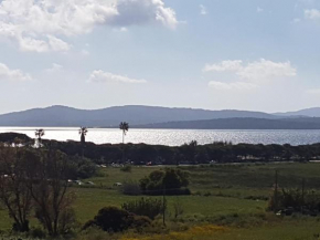 Sunshine home attico vista mare Alghero